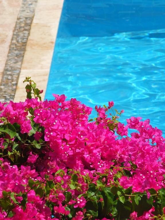 Hotel Villa Berk Fethiye Eksteriør bilde
